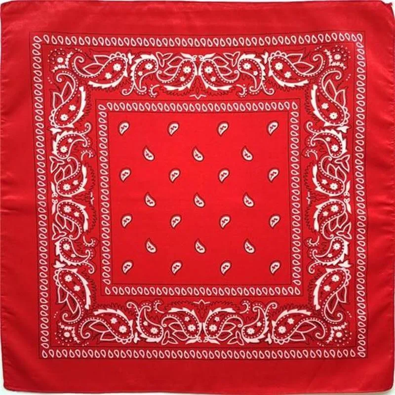 Paisley Bandana for Wearing & Decorating