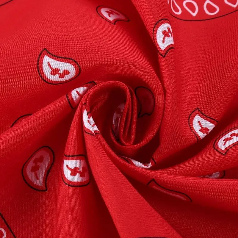 Paisley Bandana for Wearing & Decorating