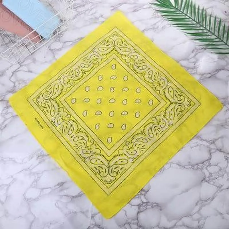 Paisley Bandana for Wearing & Decorating