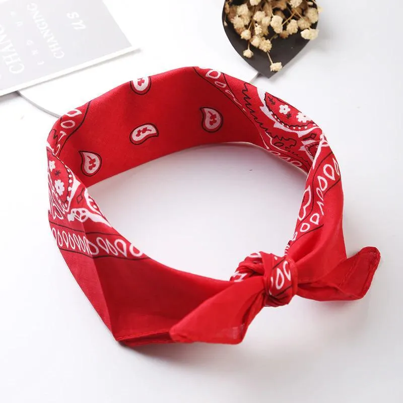 Paisley Bandana for Wearing & Decorating