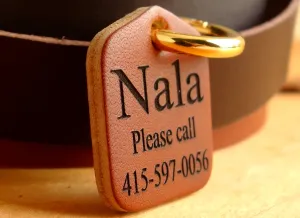 Pet ID Tag Personalized for Dog Collars in Leather Easy on New Spring Ring
