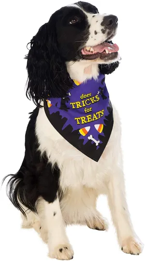 Rubies Trick for Treats Pet Bandana